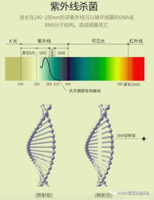 紫外线杀菌原理 紫外线杀菌原理
